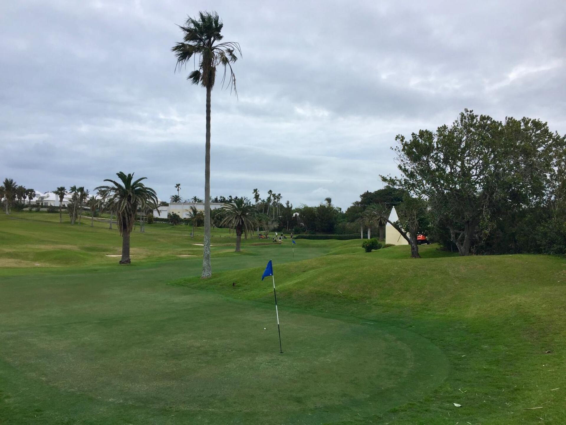 A wide, meandering double green serves holes 1 and 10 at Belmont Hills. (Photo submitted by TimGavrichGP on 10/26/2017)