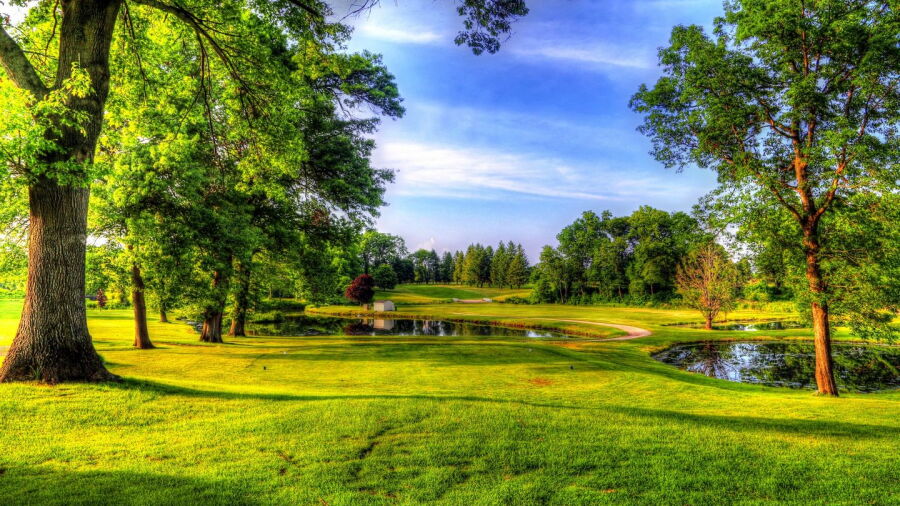 Pine View GC