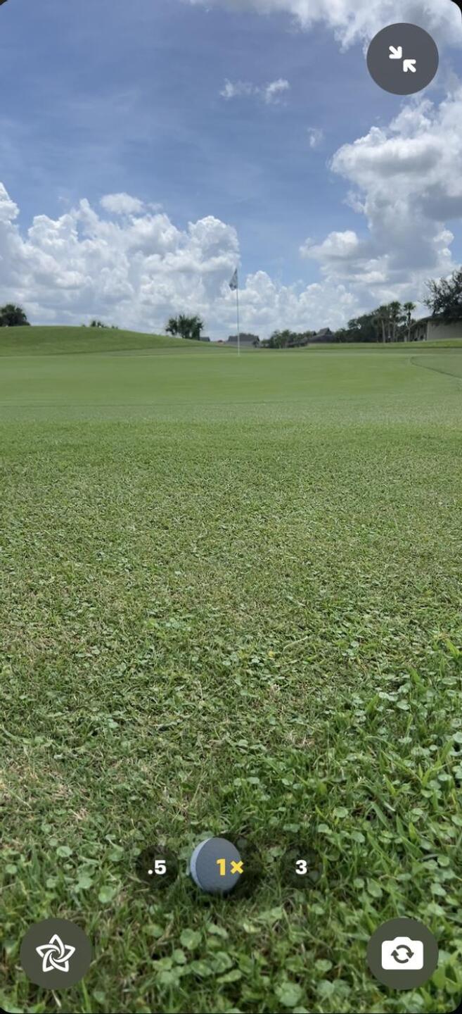 (Photo submitted by case203 on 08/29/2025)