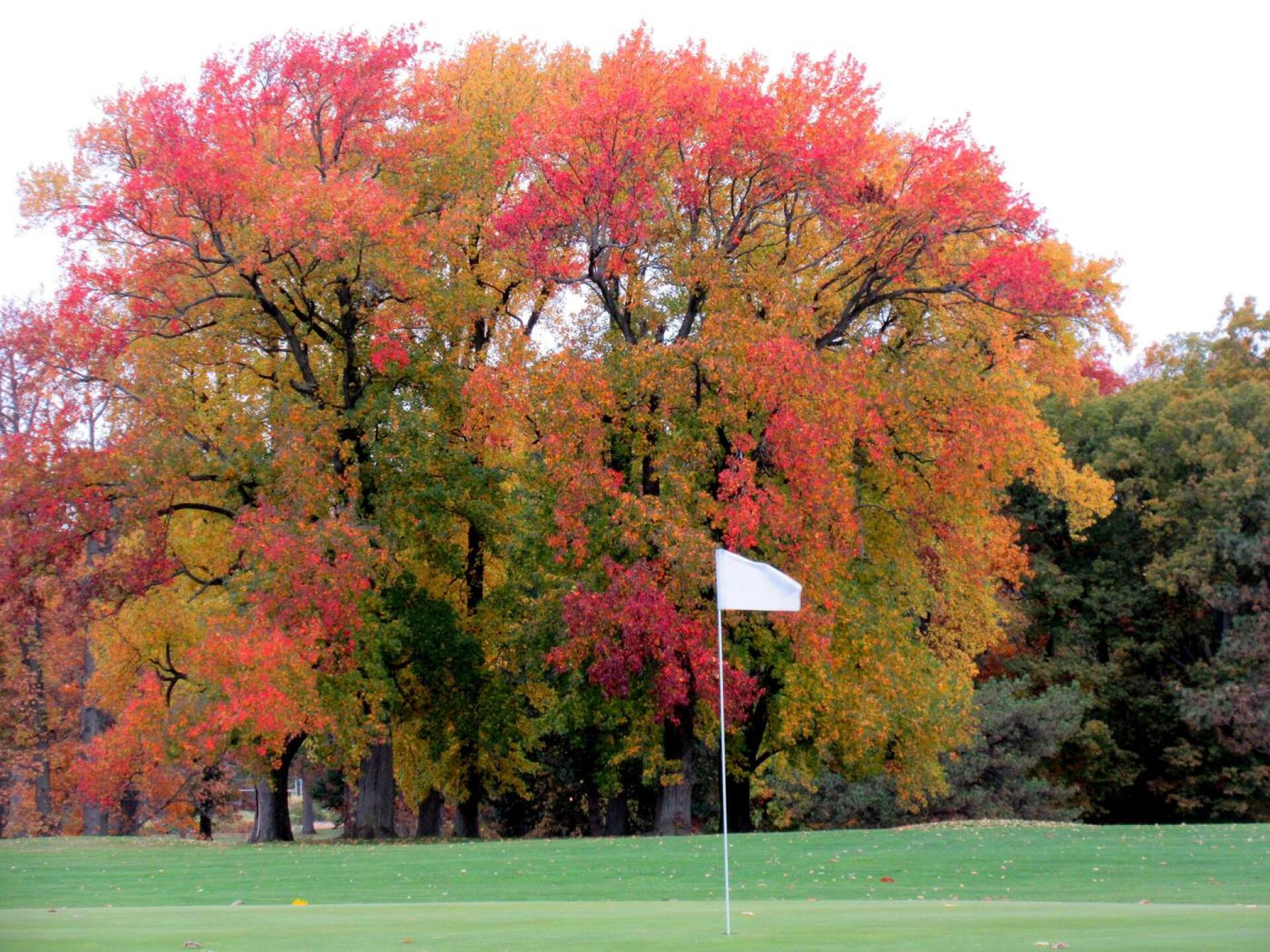 13th green, looking across 15th fairway (Photo submitted by 5PCA6tHsRgwp7MVaEPt4 on 08/26/2021)