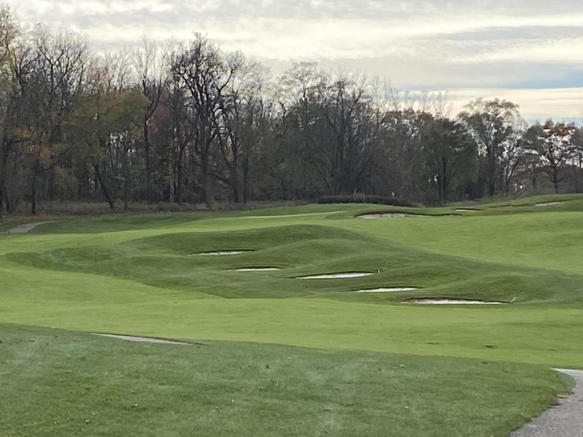 (Photo submitted by u183373765 on 11/02/2023)