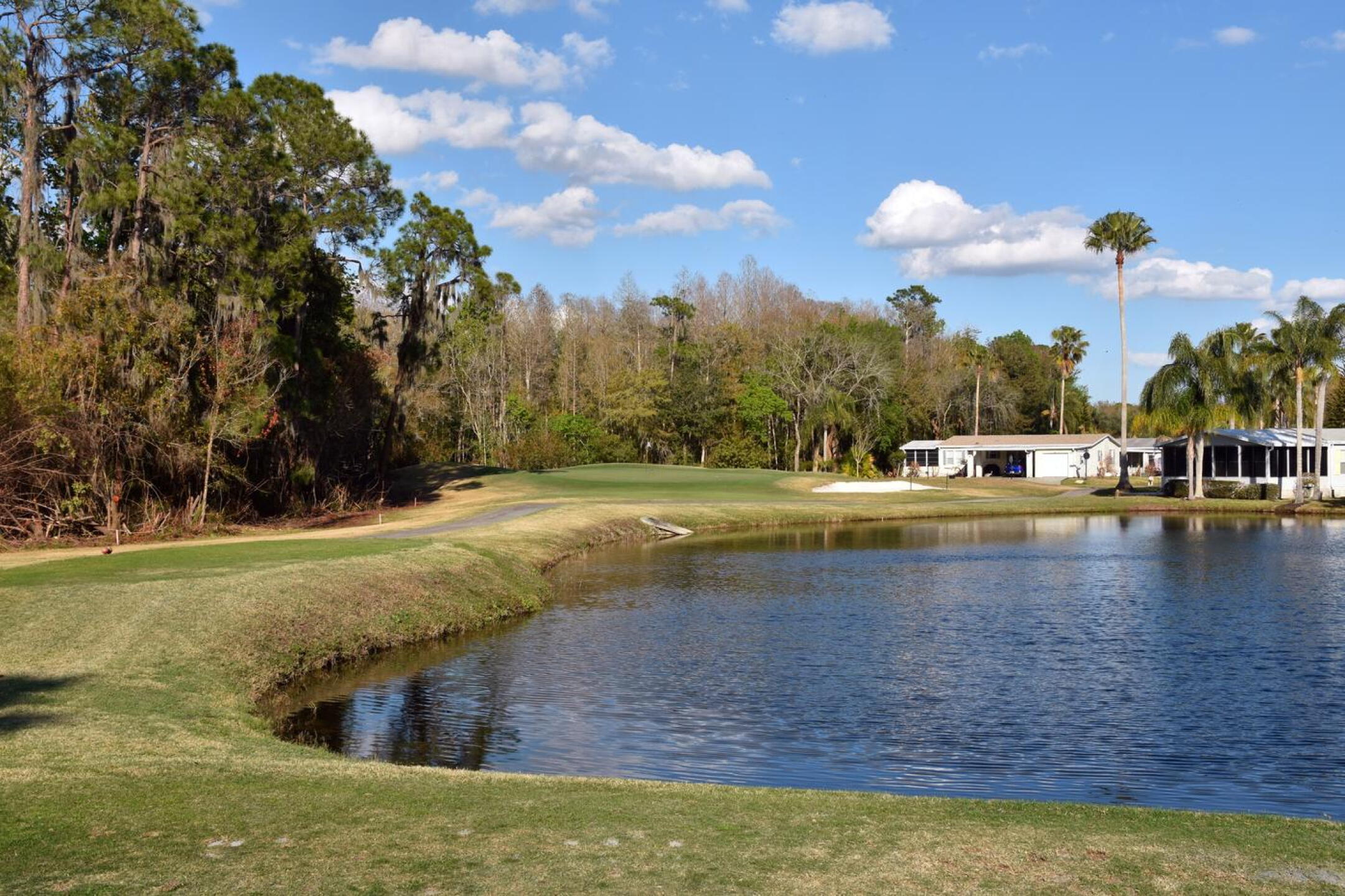 The 17th: The wind was a factor when I played this 120-yard par-3. Thirty yards from the green, two sandhill cranes were probing the sandy soil. (Photo submitted by AptlyLinked on 03/04/2026)
