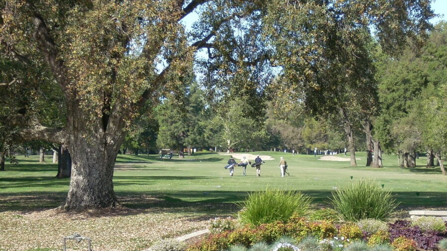 El Macero CC