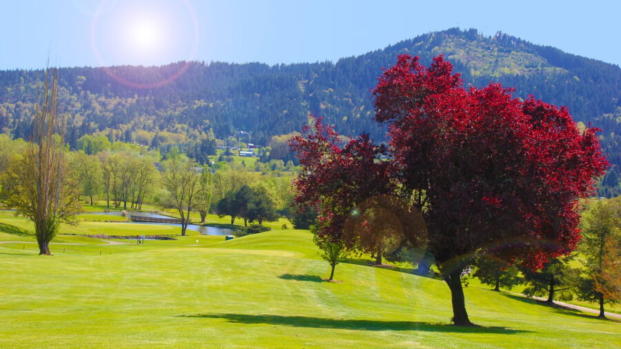 Oak Hills GC