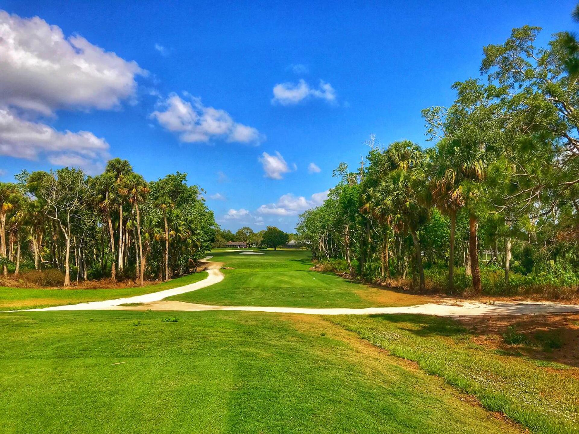 The 9th at Banyan Creek is a shortish par four with a tee shot through a chute of trees. (Photo submitted by TimGavrichGP on 04/17/2018)