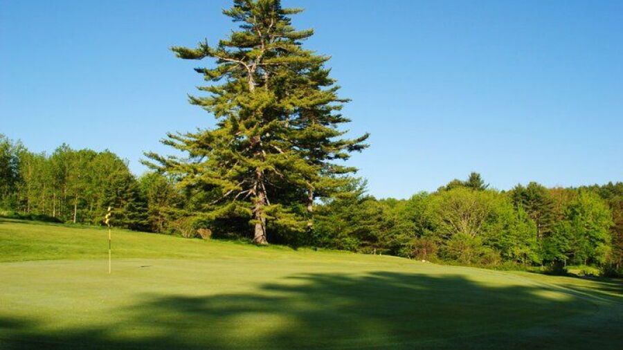 Goose River GC: #8