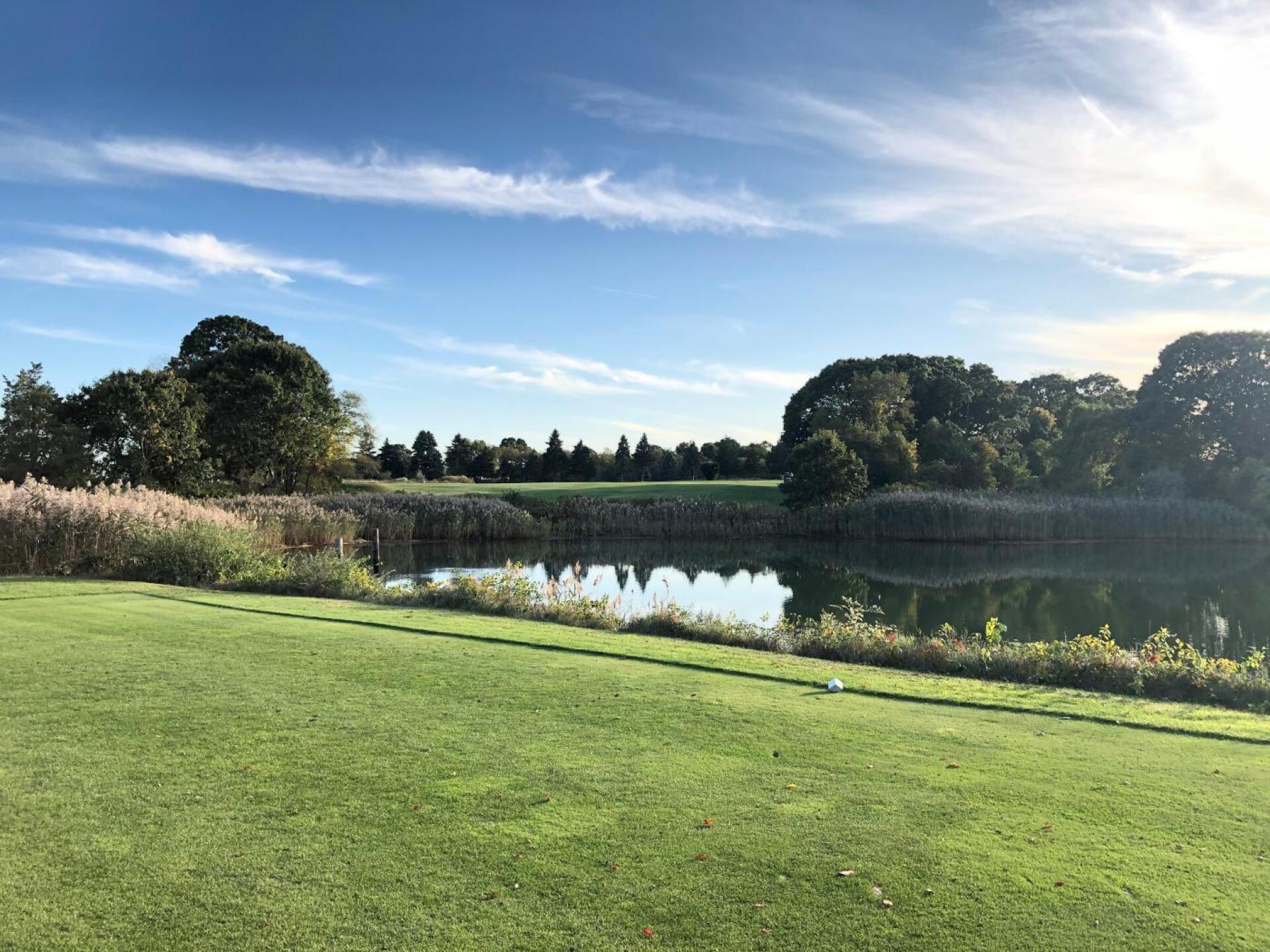 (Photo submitted by Colin6623997 on 10/13/2019)