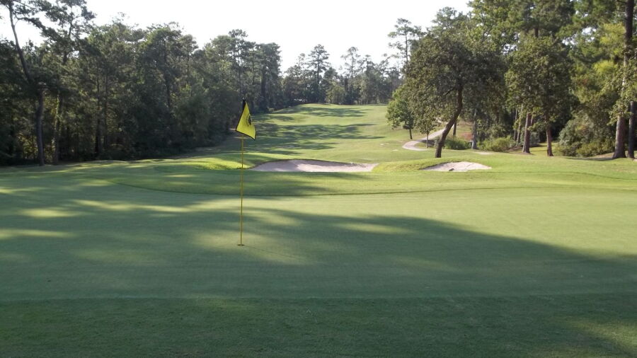 Wedgewood GC: #16