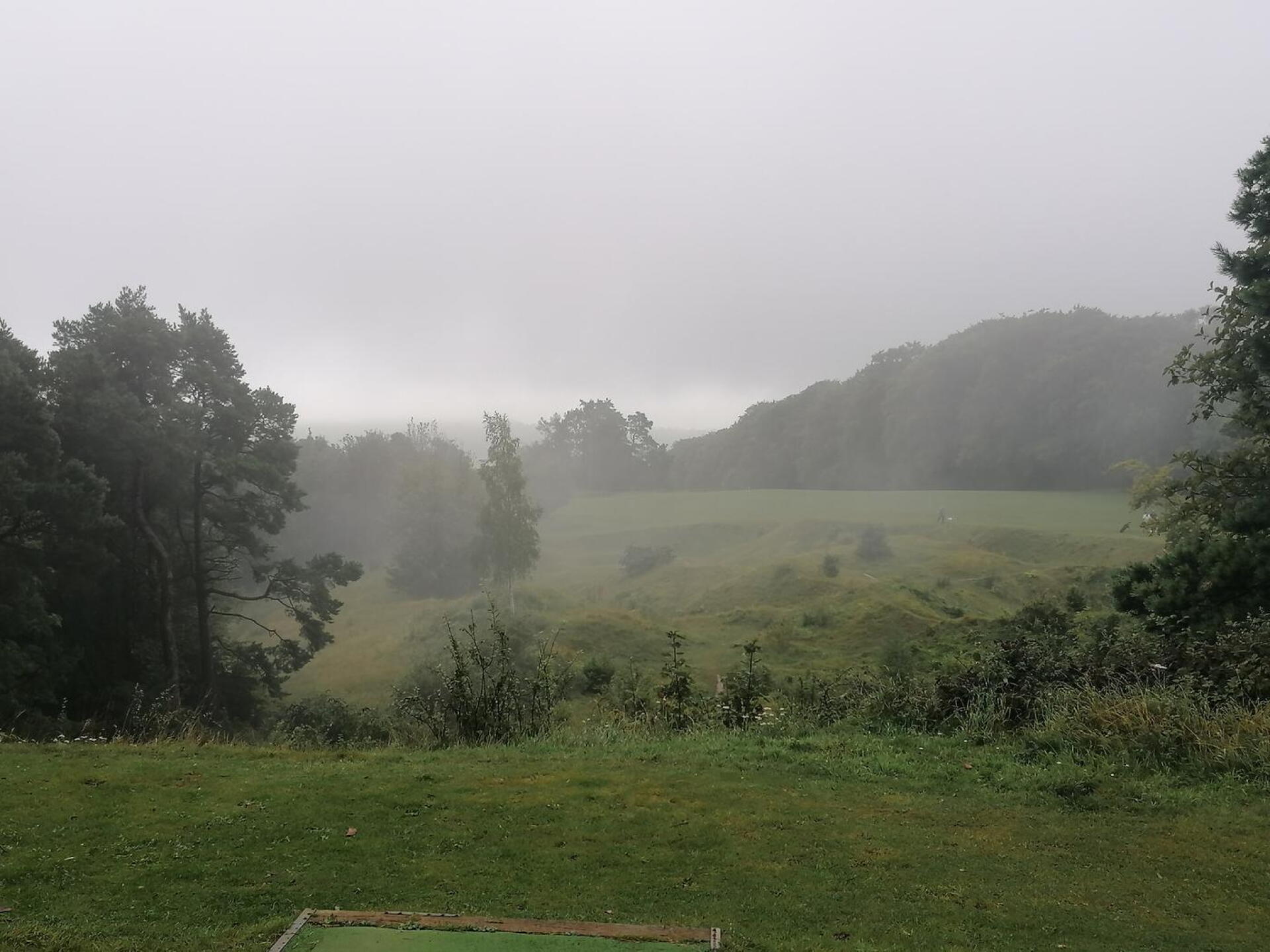 (Photo submitted by u314160597368 on 08/17/2020)