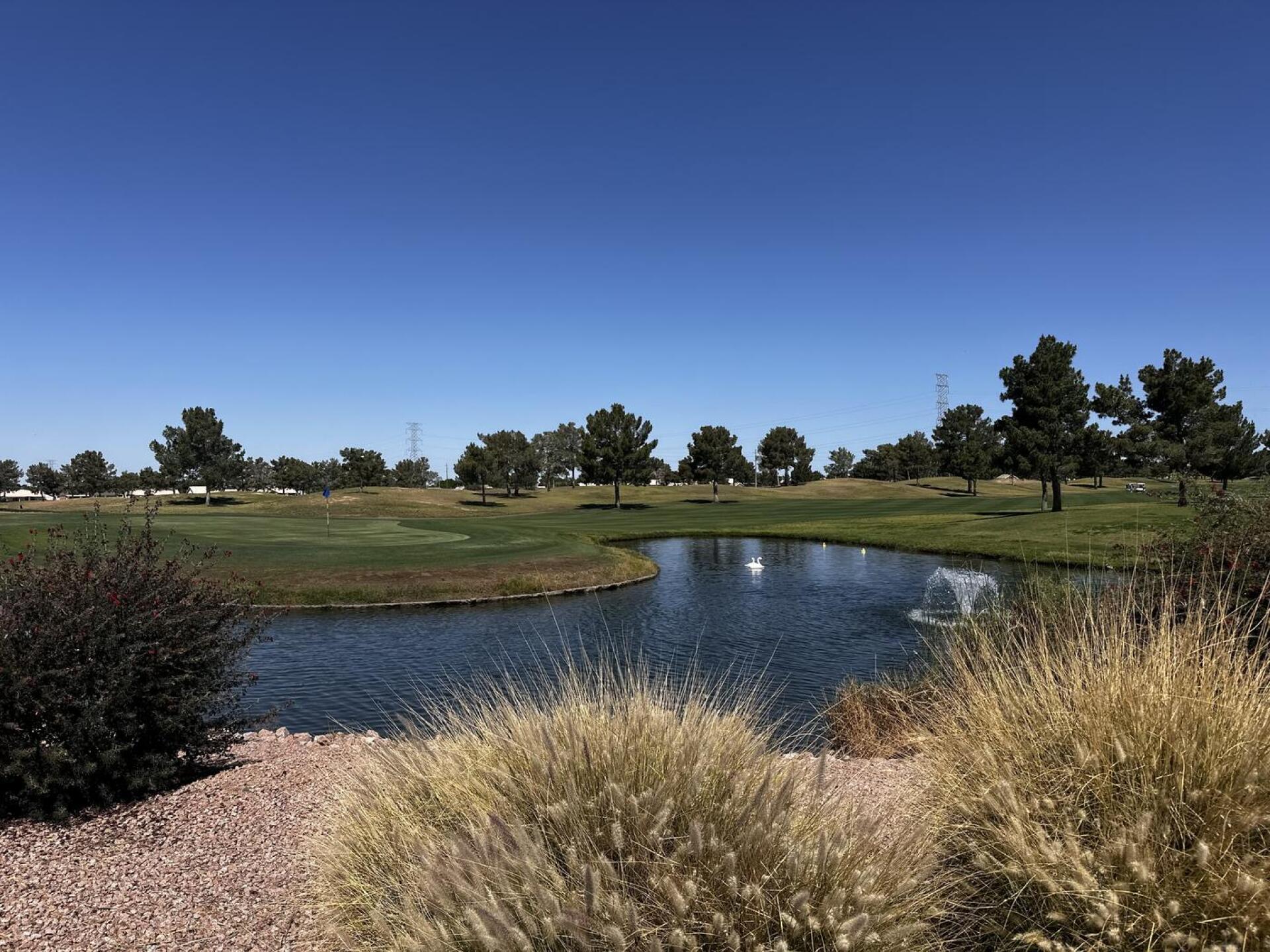 (Photo submitted by u705604270 on 04/23/2026)