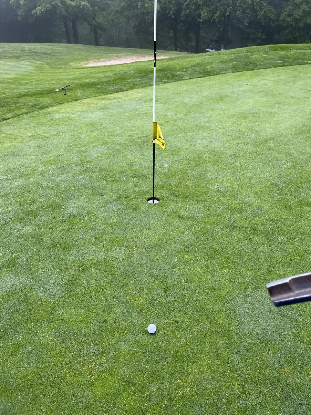 So green (Photo submitted by junkgolf on 07/03/2022)