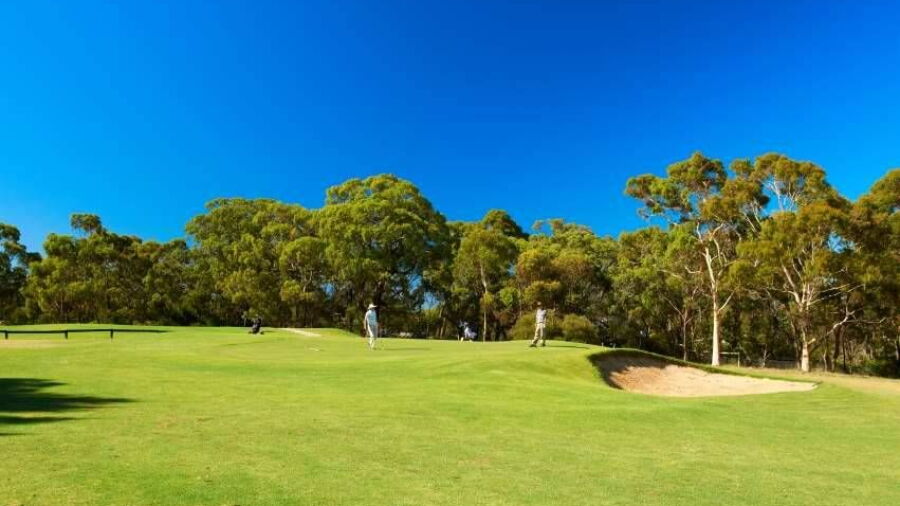 Belair National Park GCCC
