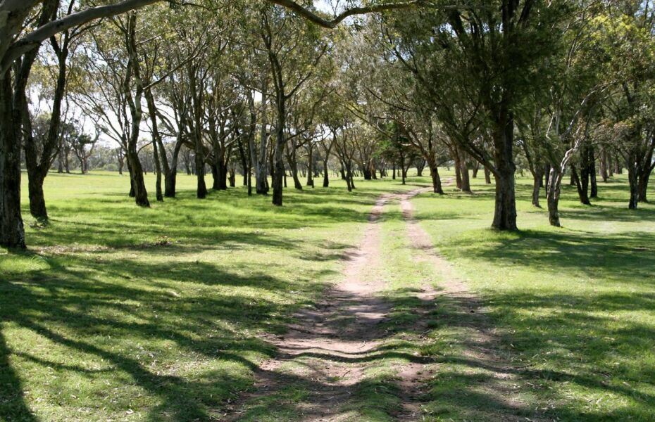 Alexander Golf Club in East London, Buffalo City, South Africa GolfPass