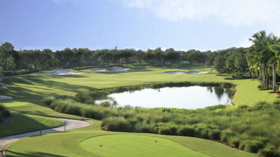 Addison Reserve CC - Redemption: #5