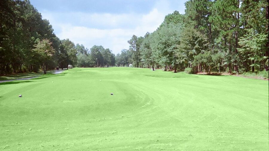 Heron Point GC: #3