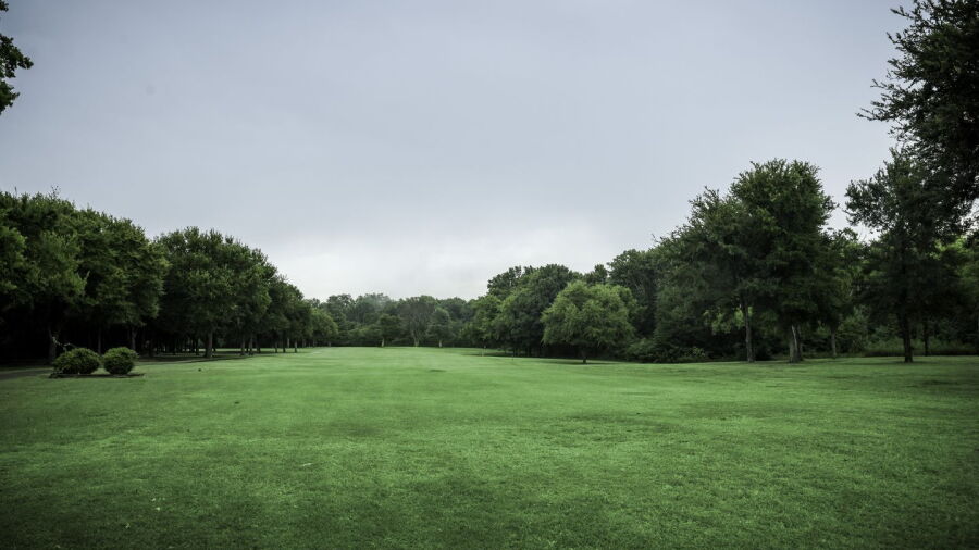 Denison CC