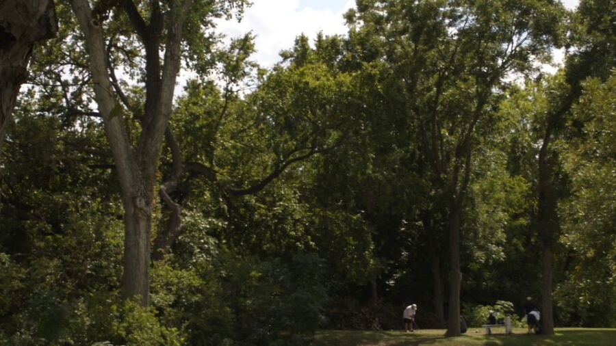 Butler Park GC