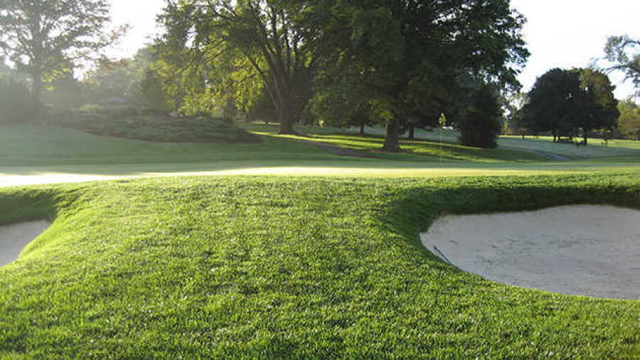 Audubon CC: #12