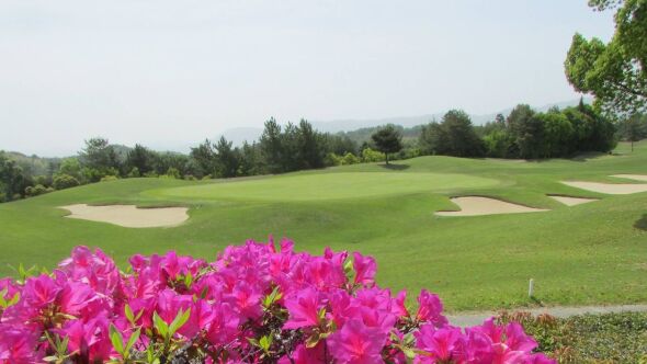 Shin-Ichi Classic GC