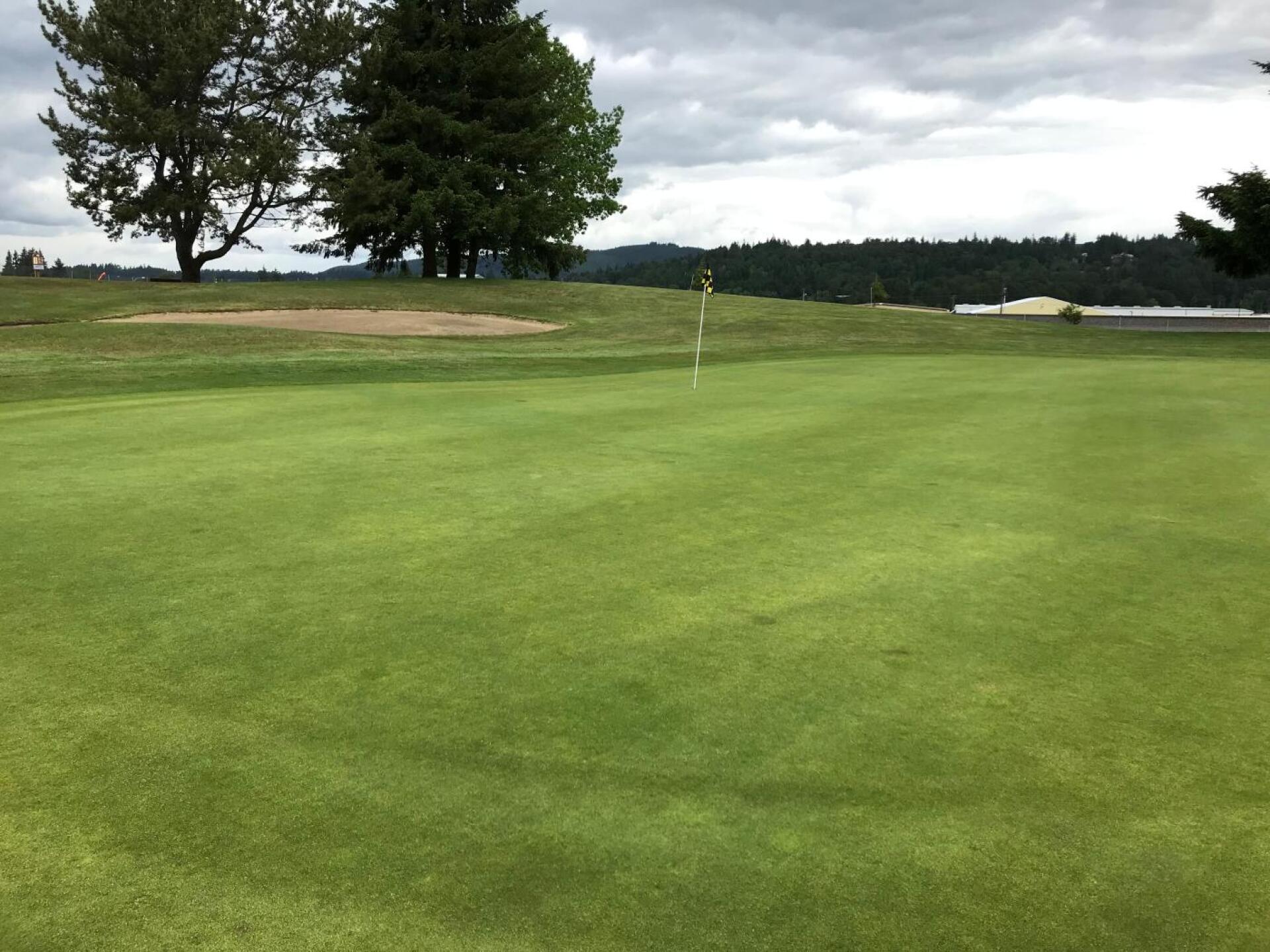 (Photo submitted by pianoman1980 on 05/18/2019)