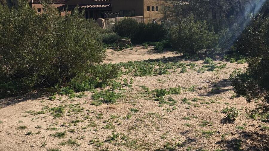 Talon course at Grayhawk Golf Club