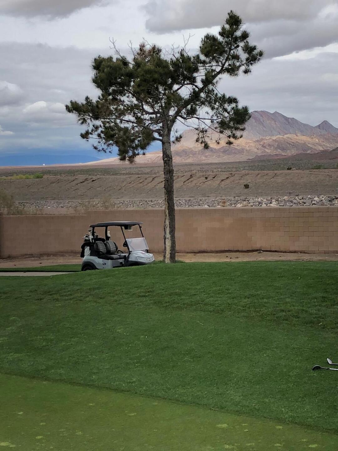 (Photo submitted by u242616888 on 03/13/2020)