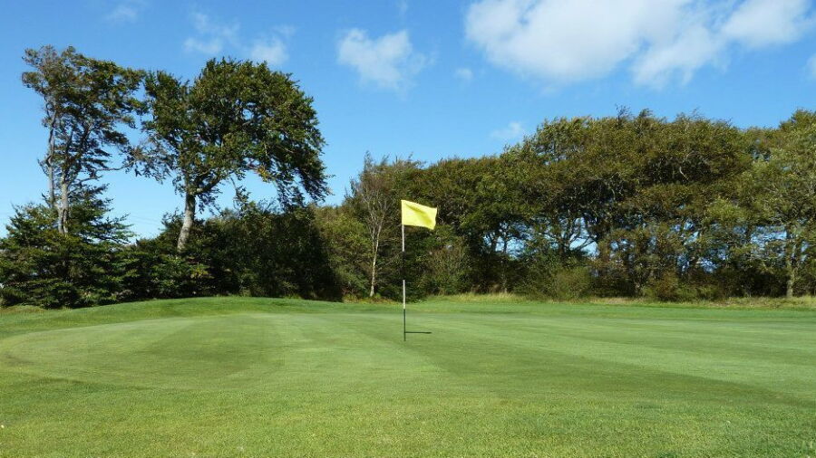 Torrance House GC: #5