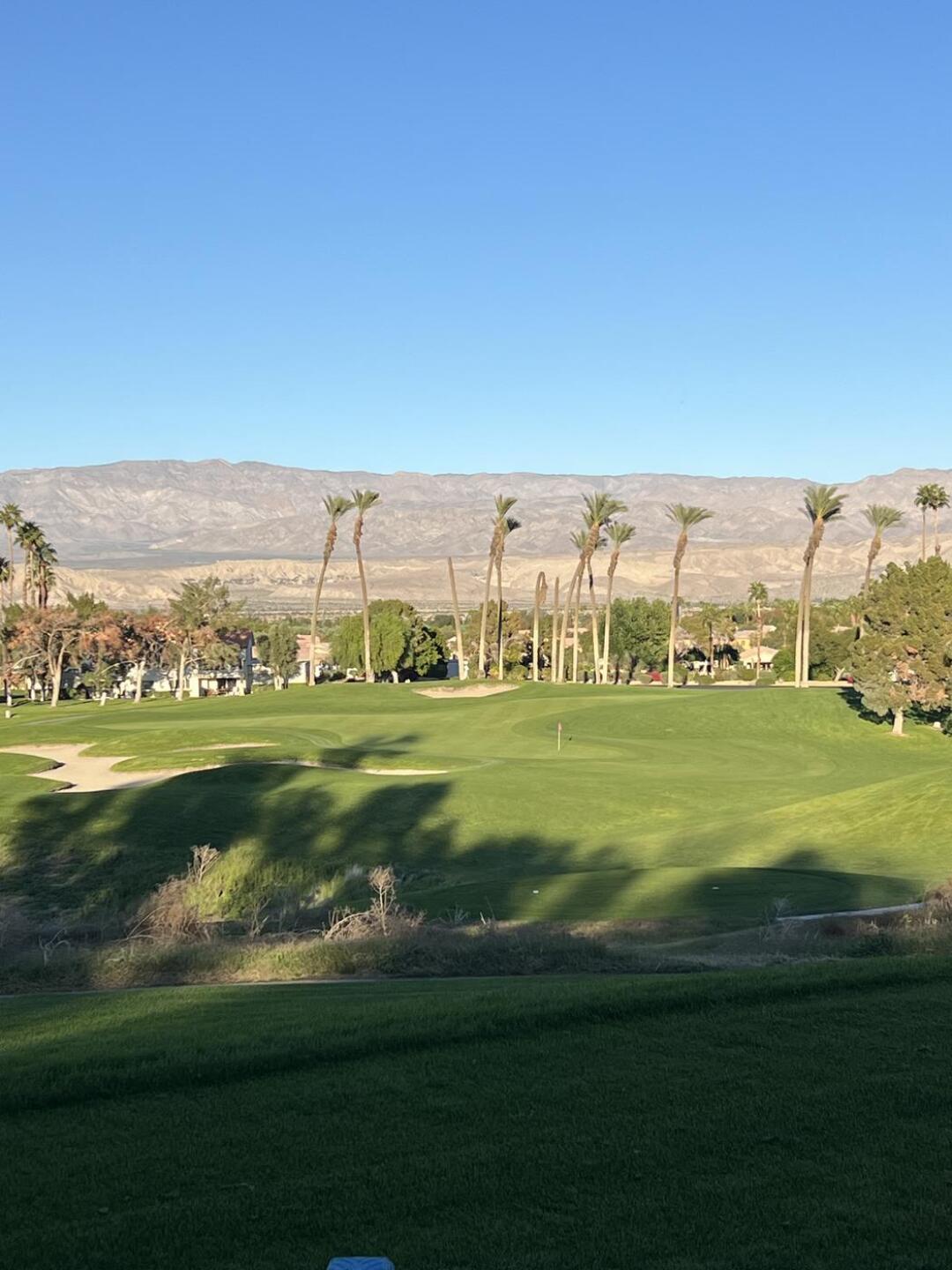 (Photo submitted by setch on 01/02/2026)