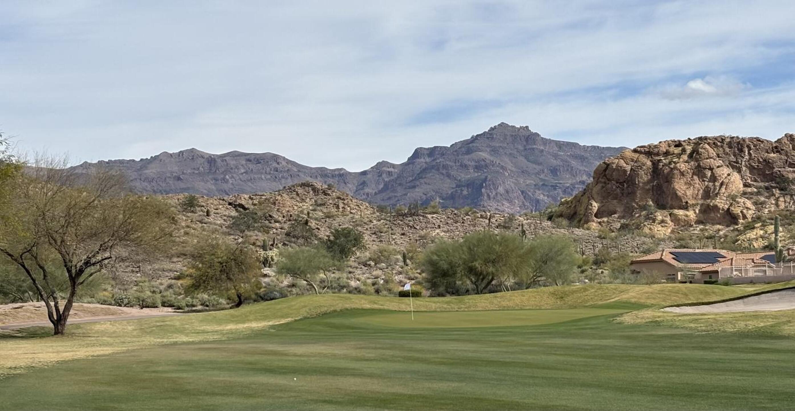 (Photo submitted by xkQQOHwQfBQdQ6PQvDoQ on 02/11/2026)