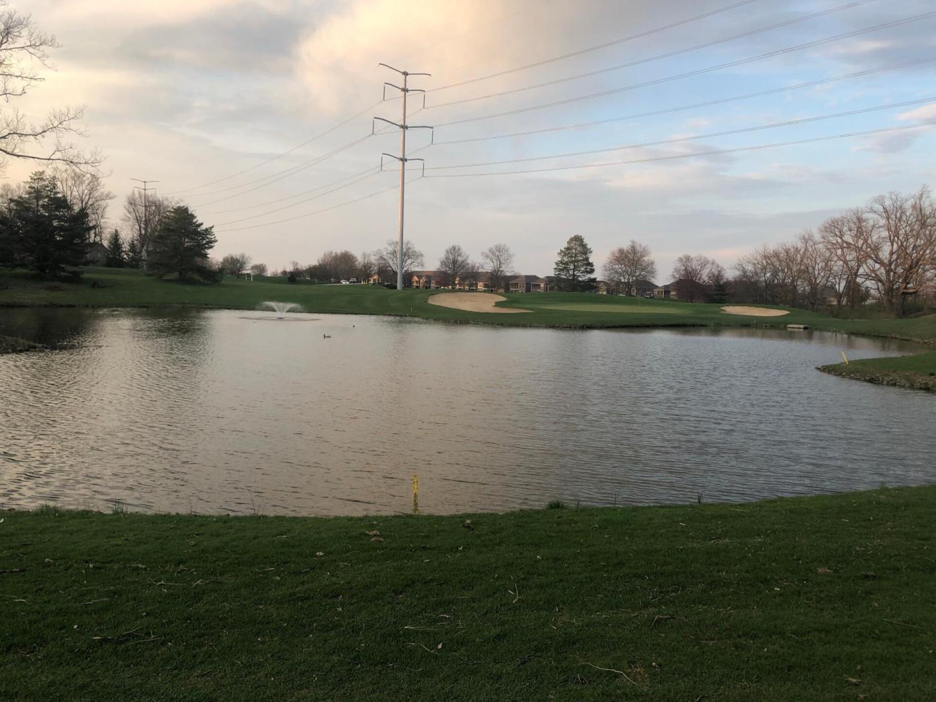 (Photo submitted by u983032896 on 06/12/2019)