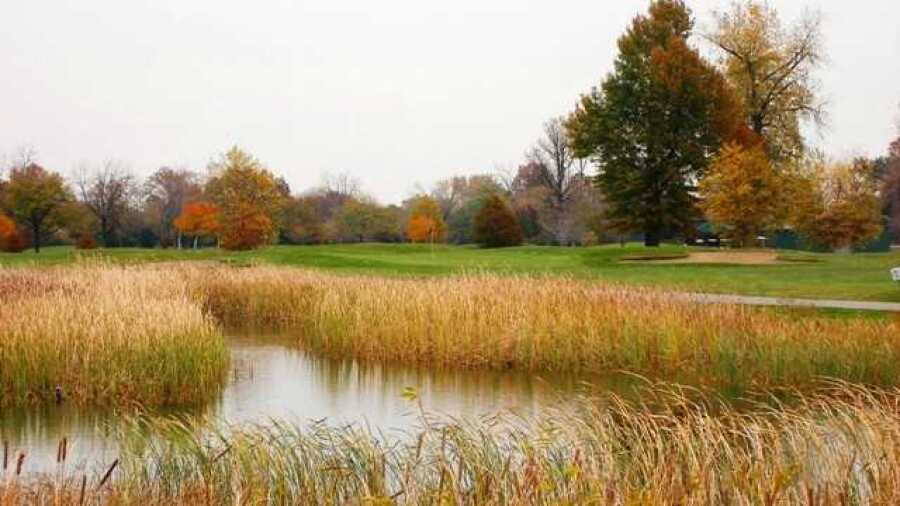 Chandler Park GC: #16