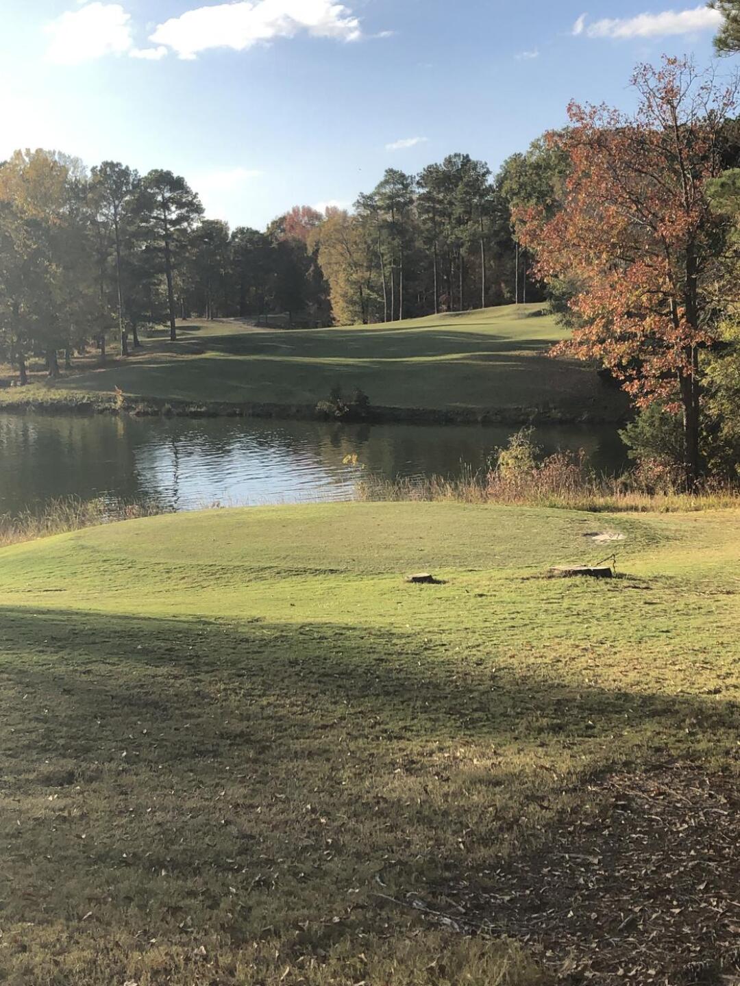 (Photo submitted by u314163076155 on 11/05/2022)