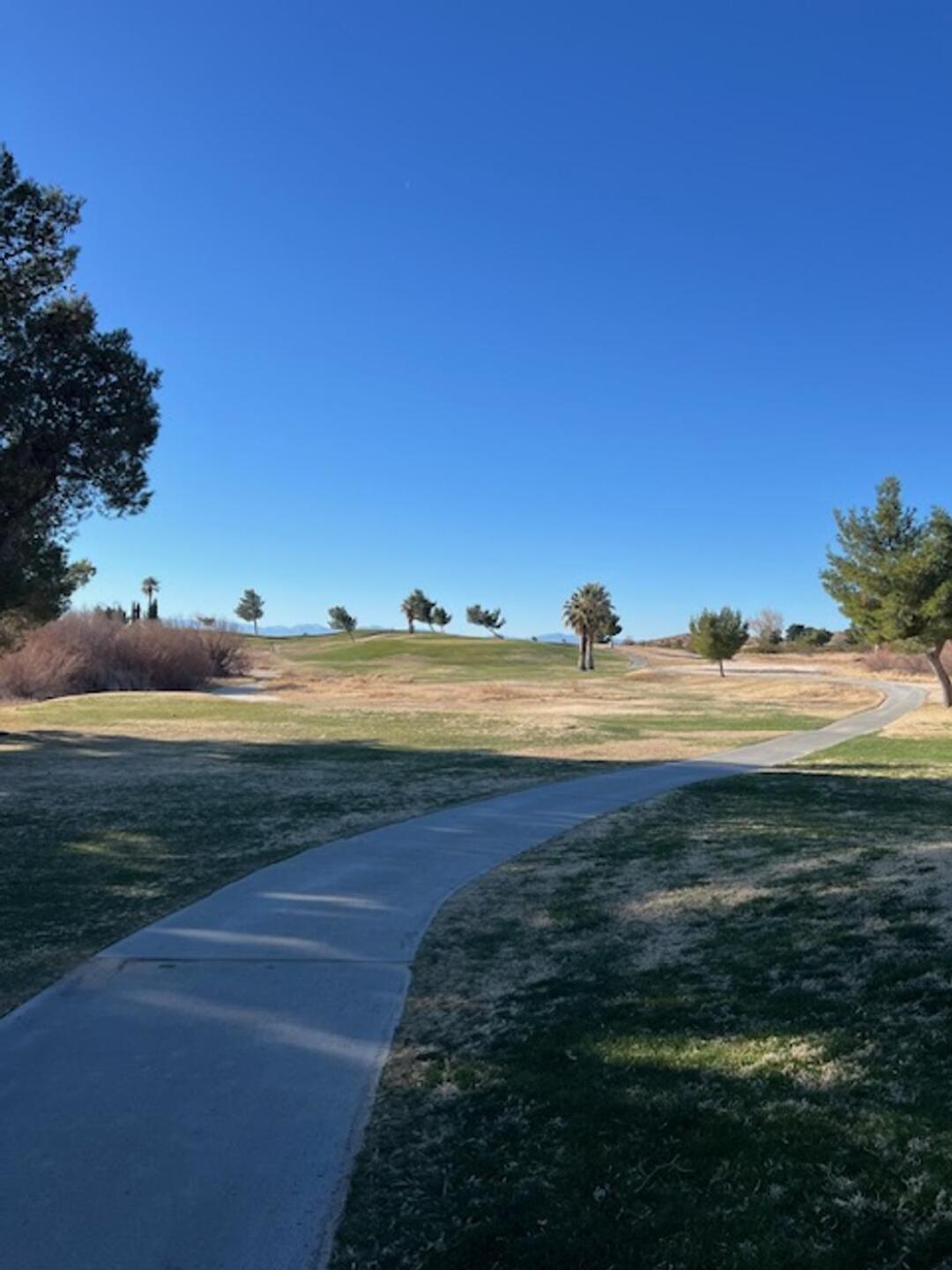 (Photo submitted by KYZMlxIKnv5U5eThIycB on 02/27/2025)