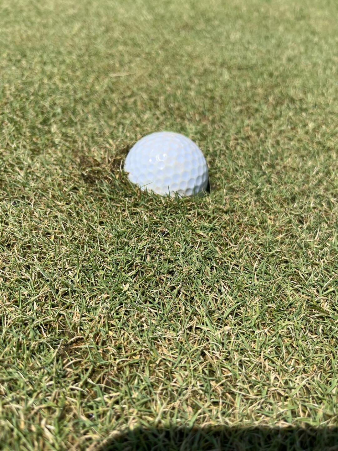 My ball on the par 3 2nd hole. Greens were very soft and ruined.. (Photo submitted by iEpic on 07/25/2022)