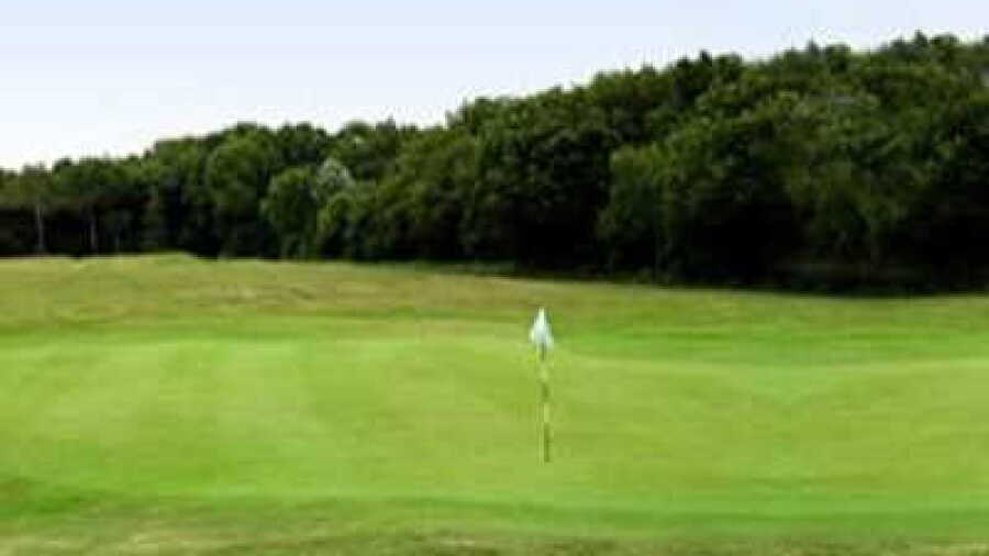 Banstead Downs GC: #11