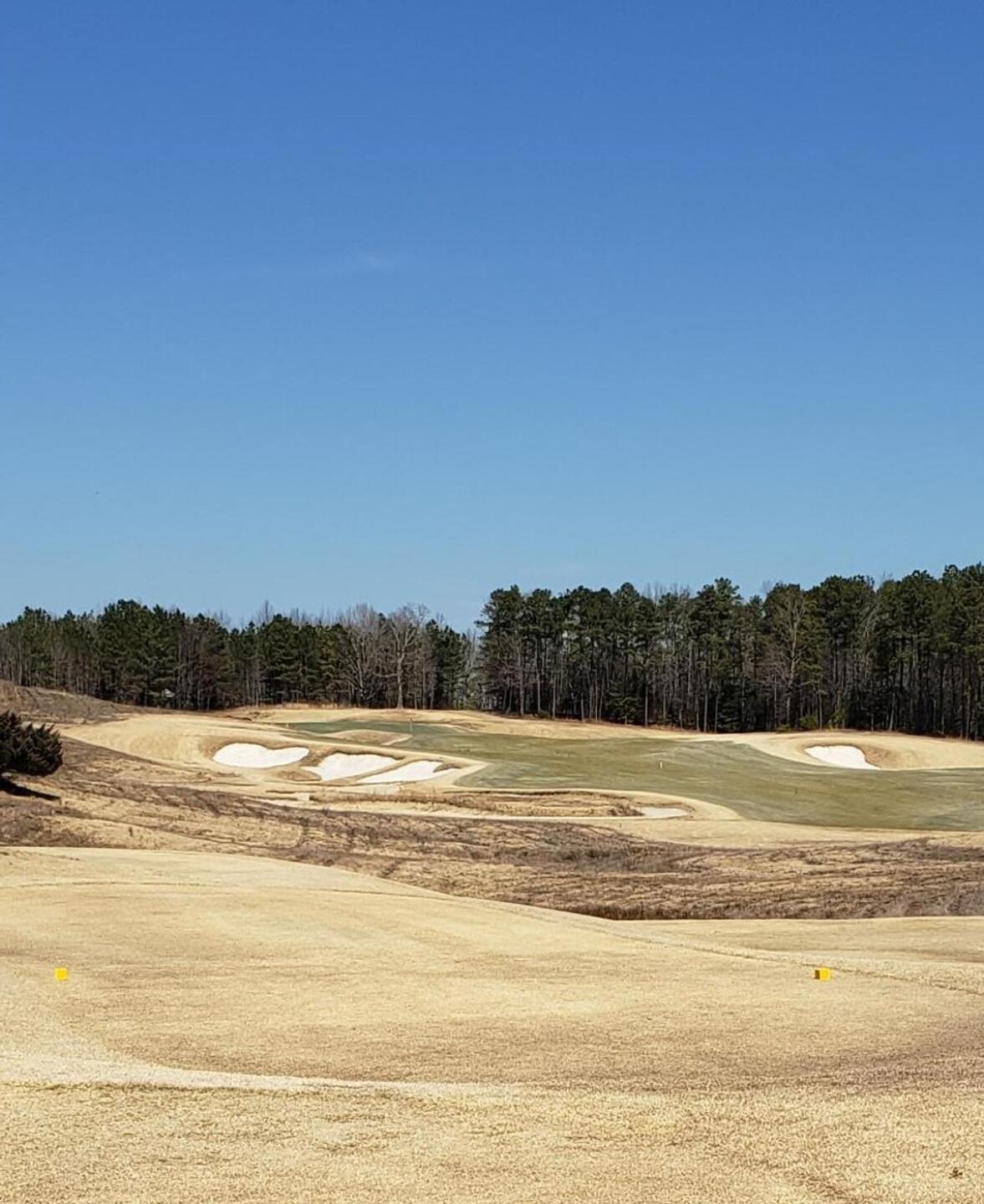 (Photo submitted by u314160791017 on 03/12/2021)