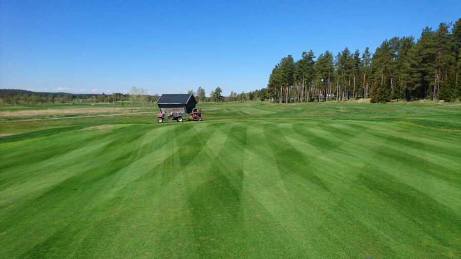 Lulea GC - Ermine: #8