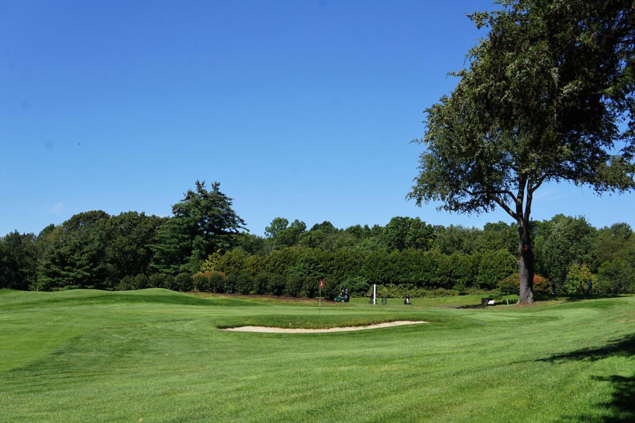 The fourteenth ranks as the most difficult par-4 at Timberlin from the men’s tees. (Photo submitted by AptlyLinked on 09/19/2023)