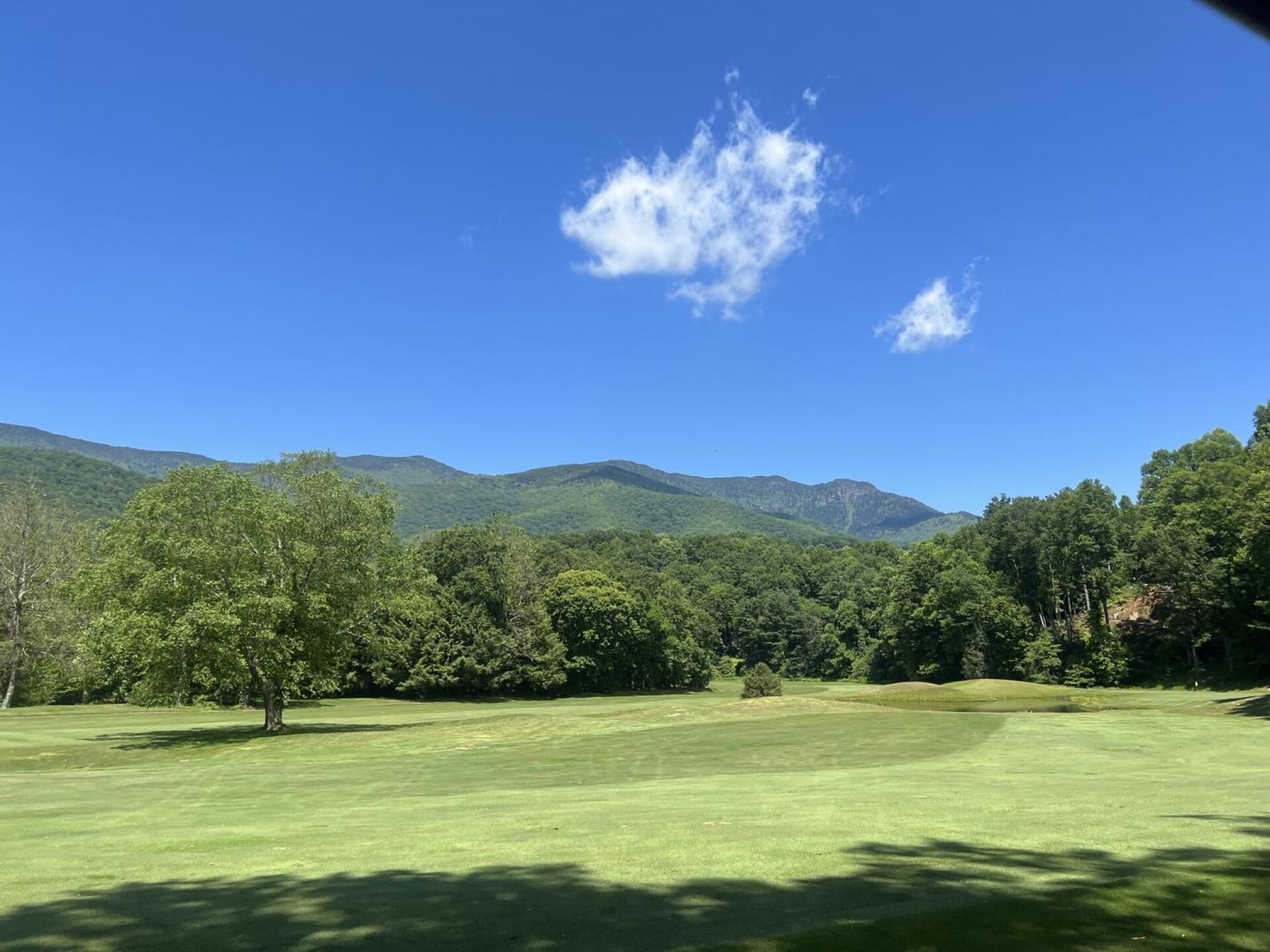 (Photo submitted by kbtire on 06/14/2023)