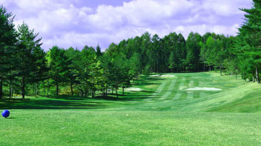 Ontake Golf & Resort Hotel: #15
