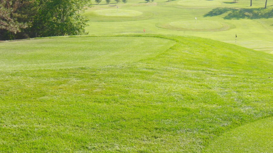Pine Hills CC: Practice area