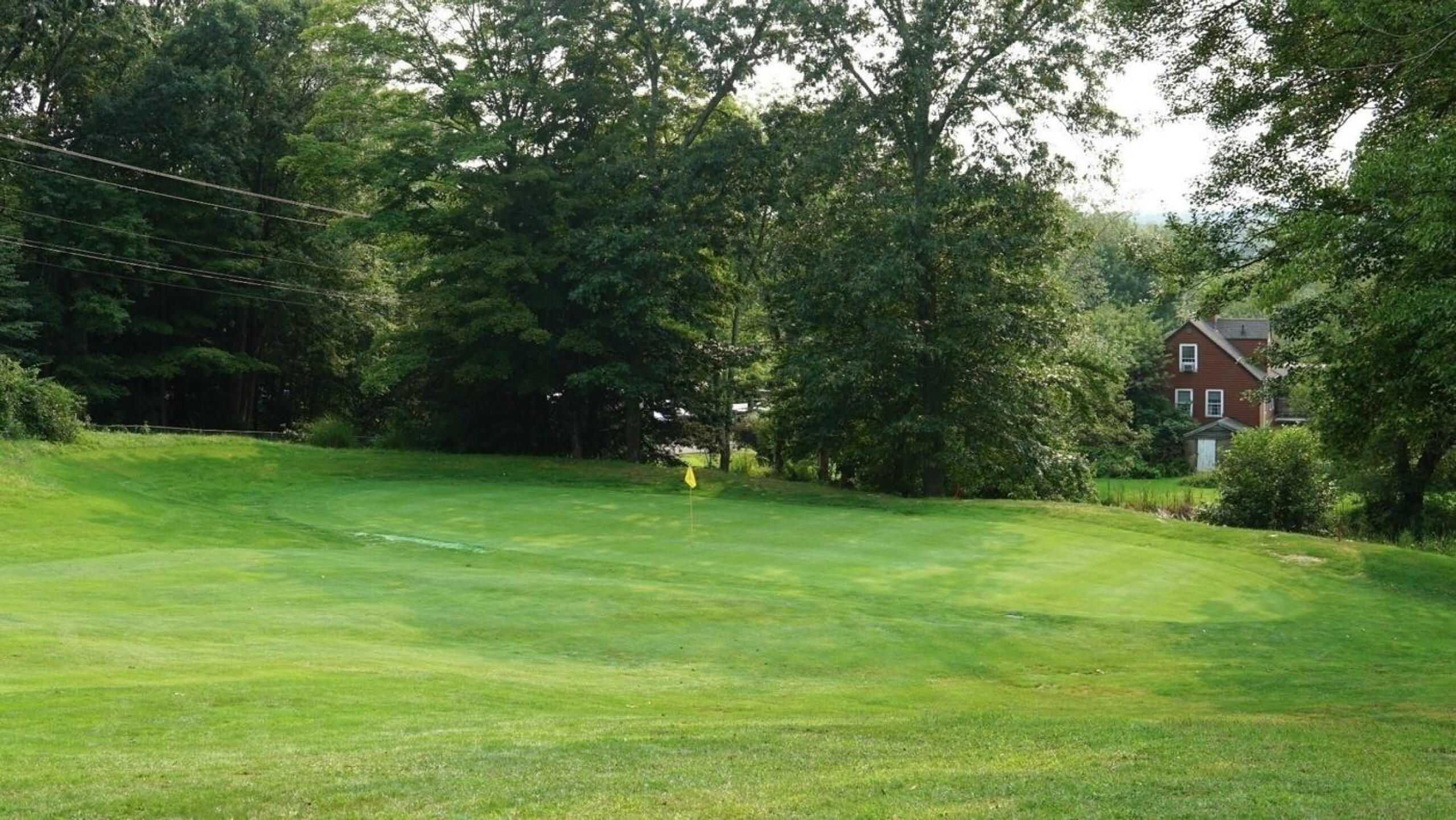 The woods almost brush up against the ninth green, onto which the downhill approach is best hit cautiously. (Photo submitted by AptlyLinked on 08/21/2024)