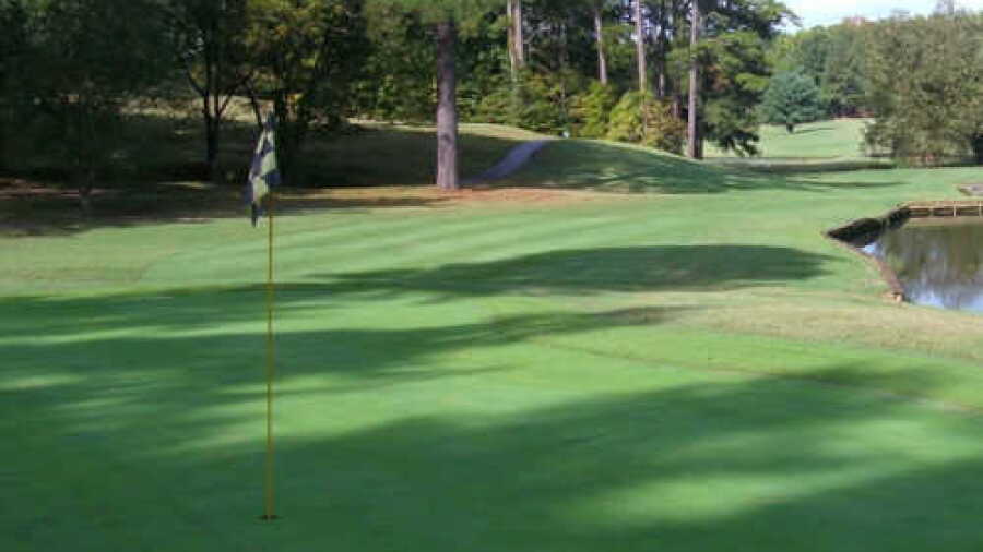 Henderson CC: #8