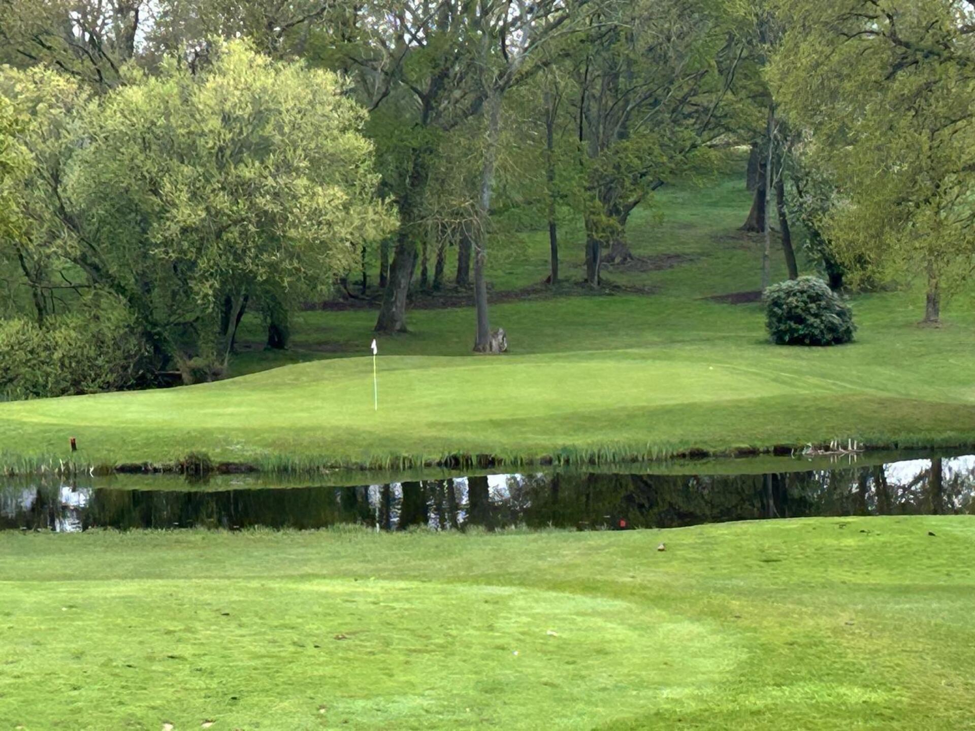 (Photo submitted by So8Ys9O8eKWnHXVHwsWq on 04/22/2025)