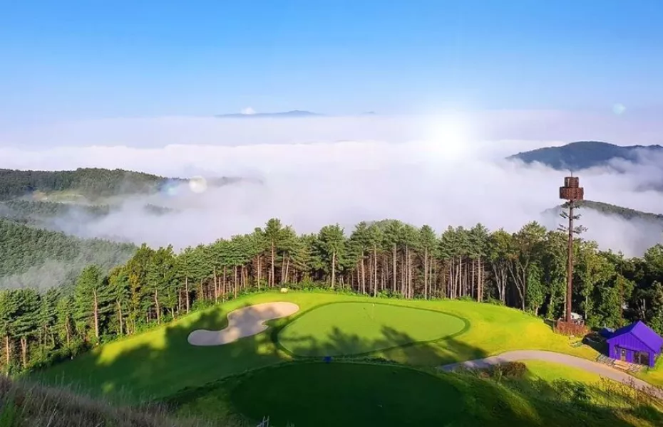 Shambhala CC