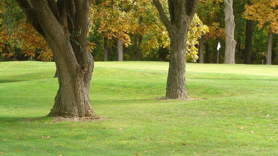 Springvale GC