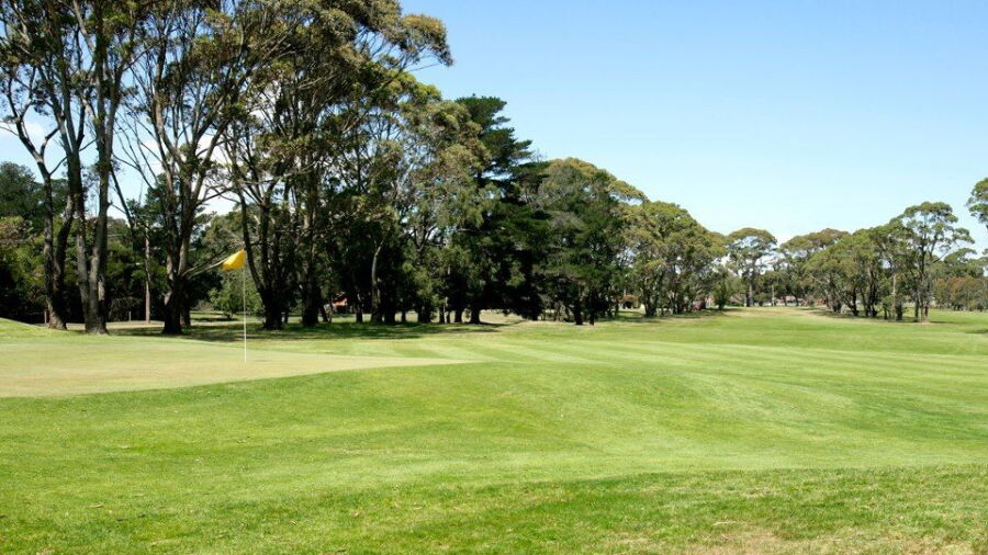 Cerberus GC