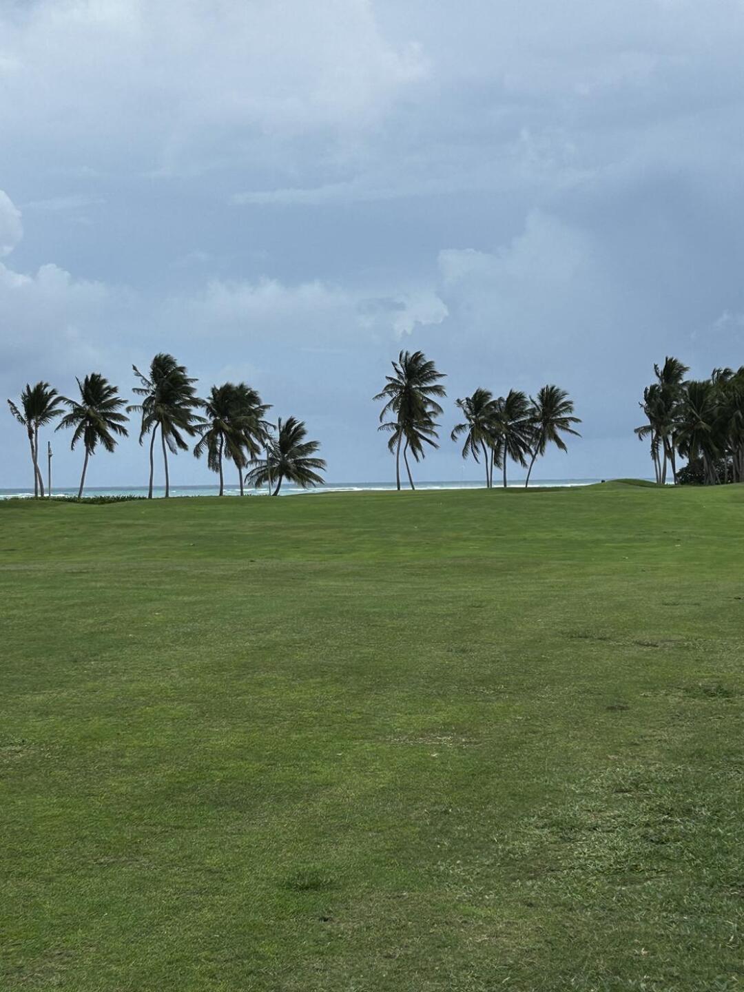 (Photo submitted by 2AxF5TGXHNsZ2Y4LqArF on 04/06/2026)