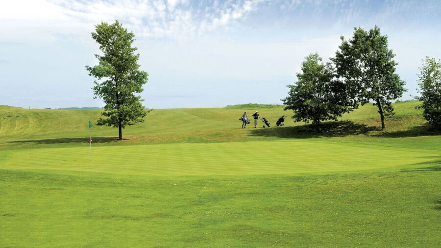 Zwickau GC