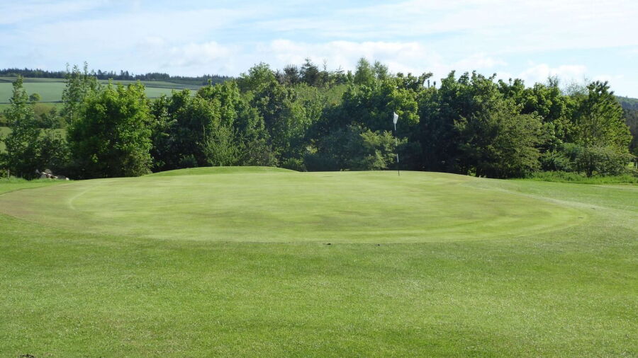 Duns GC: #8